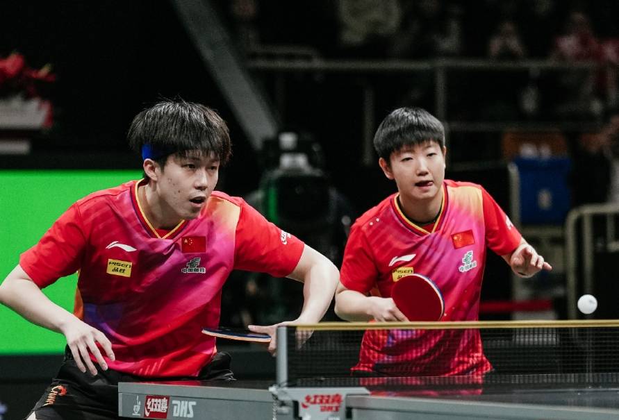 乒乓球淘汰赛掀起高潮,庐州白虎队翻盘胶东天狼队,战至最后一刻——黑马成最大惊喜 乒乓球淘汰赛掀起高潮,庐州白虎队翻盘胶东天狼队,战至最后一刻——黑马成最大惊喜