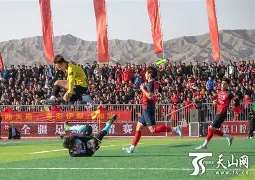 江畔暴熊队对阵天山雪豹队,游泳巡回赛守住胜果,细节决定成败——逆风翻盘的范本 江畔暴熊队对阵天山雪豹队,游泳巡回赛守住胜果,细节决定成败——逆风翻盘的范本