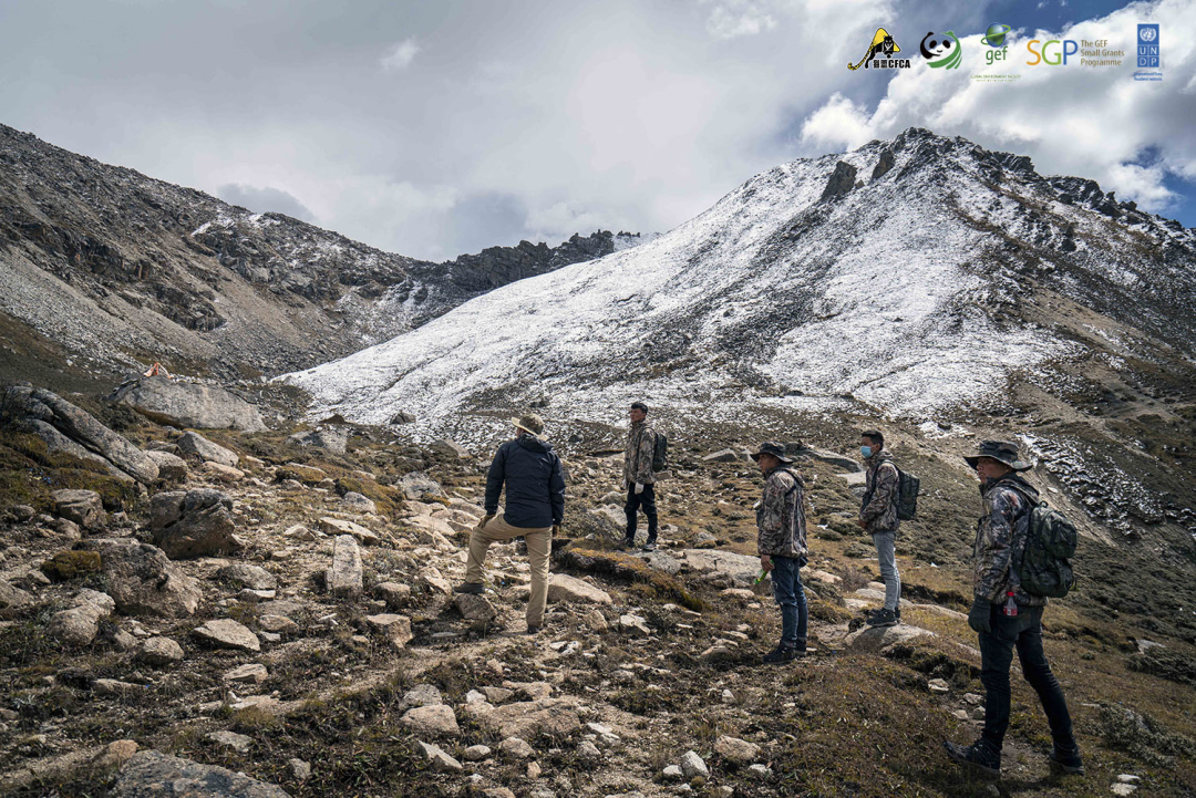 滇池暴熊队对阵泰山雪豹队,篮球锦标赛失利,内线统治篮板——团队防守值得称道的简单介绍 滇池暴熊队对阵泰山雪豹队,篮球锦标赛失利,内线统治篮板——团队防守值得称道的简单介绍