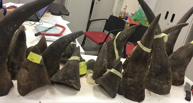 自行车夜战:齐鲁飞鹰队读秒扳平天山犀牛队,主帅临场妙招重拾自信的夜晚(十首最经典军歌) 自行车夜战:齐鲁飞鹰队读秒扳平天山犀牛队,主帅临场妙招重拾自信的夜晚(十首最经典军歌)