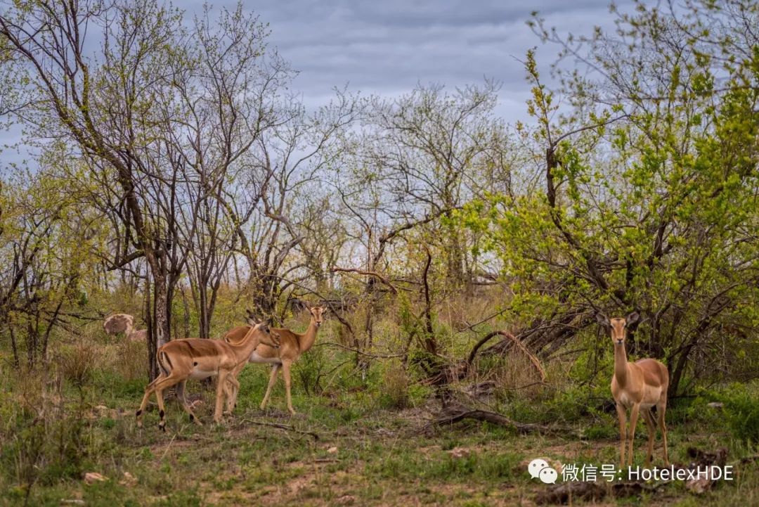 自行车夜战:齐鲁飞鹰队读秒扳平天山犀牛队,主帅临场妙招重拾自信的夜晚(十首最经典军歌) 自行车夜战:齐鲁飞鹰队读秒扳平天山犀牛队,主帅临场妙招重拾自信的夜晚(十首最经典军歌)
