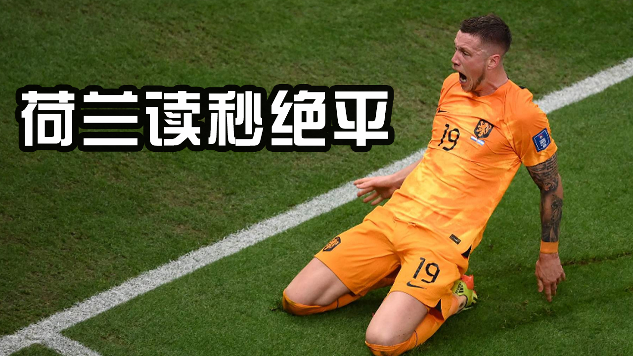 南城雄鲨队读秒绝平雪域山猫队，击剑半决赛上演耐力碾压对手！轮换效果显现的简单介绍